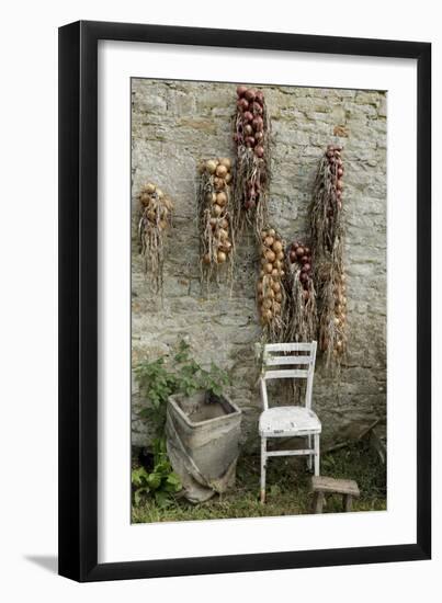 Bunches of Onions Drying Out on Brick Wall with Chair-Christina Wilson-Framed Photo