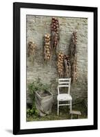 Bunches of Onions Drying Out on Brick Wall with Chair-Christina Wilson-Framed Photo