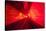 Bund Sightseeing Tunnel Lights-null-Stretched Canvas