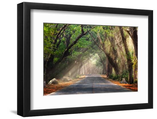 Premium Photographic Print, , large
