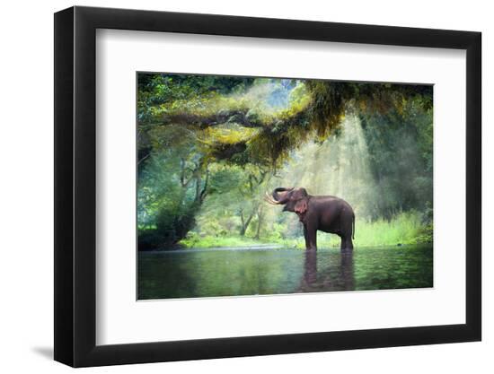 Premium Photographic Print, , large