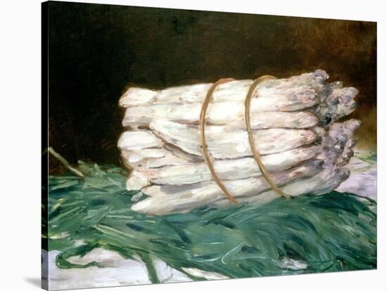 Bundle of Asparagus, 1880-Edouard Manet-Stretched Canvas
