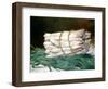 Bundle of Asparagus, 1880-Edouard Manet-Framed Giclee Print