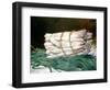 Bundle of Asparagus, 1880-Edouard Manet-Framed Giclee Print