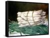 Bundle of Asparagus, 1880-Edouard Manet-Framed Stretched Canvas