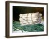 Bundle of Asparagus, 1880-Edouard Manet-Framed Giclee Print