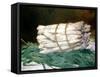 Bundle of Asparagus, 1880-Edouard Manet-Framed Stretched Canvas