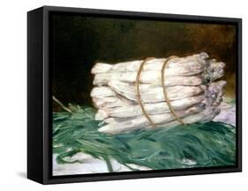 Bundle of Asparagus, 1880-Edouard Manet-Framed Stretched Canvas