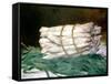 Bundle of Asparagus, 1880-Edouard Manet-Framed Stretched Canvas