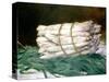 Bundle of Asparagus, 1880-Edouard Manet-Stretched Canvas