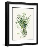 Bundle of Greens-Enya Todd-Framed Art Print