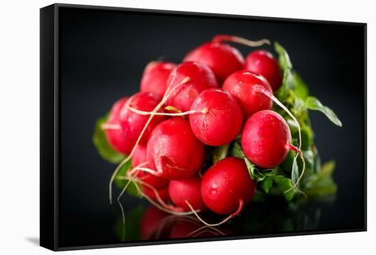 Bundle of Red Radish-Rawlik-Framed Stretched Canvas