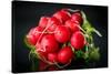 Bundle of Red Radish-Rawlik-Stretched Canvas