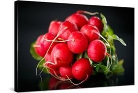 Bundle of Red Radish-Rawlik-Stretched Canvas