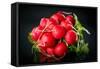 Bundle of Red Radish-Rawlik-Framed Stretched Canvas