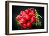 Bundle of Red Radish-Rawlik-Framed Photographic Print