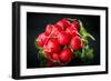 Bundle of Red Radish-Rawlik-Framed Photographic Print