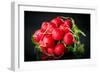 Bundle of Red Radish-Rawlik-Framed Photographic Print