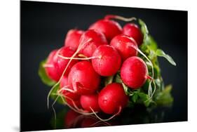 Bundle of Red Radish-Rawlik-Mounted Photographic Print