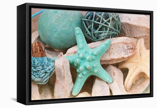 Bundle of Shells I-Susan Bryant-Framed Stretched Canvas