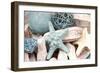 Bundle of Shells I-Susan Bryant-Framed Premium Photographic Print