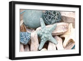 Bundle of Shells I-Susan Bryant-Framed Premium Photographic Print