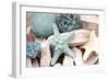 Bundle of Shells I-Susan Bryant-Framed Premium Photographic Print