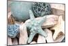 Bundle of Shells I-Susan Bryant-Mounted Premium Photographic Print