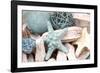 Bundle of Shells I-Susan Bryant-Framed Photographic Print