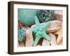 Bundle of Shells I-Susan Bryant-Framed Photographic Print