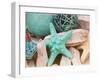 Bundle of Shells I-Susan Bryant-Framed Photographic Print