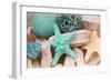 Bundle of Shells I-Susan Bryant-Framed Photographic Print