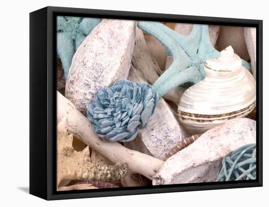 Bundle of Shells II-Susan Bryant-Framed Stretched Canvas