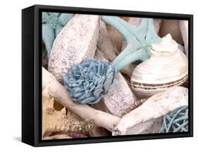 Bundle of Shells II-Susan Bryant-Framed Stretched Canvas