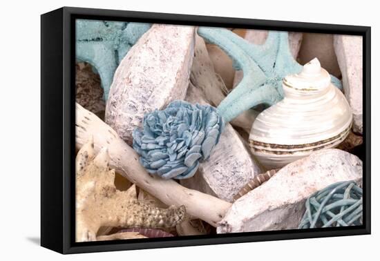 Bundle of Shells II-Susan Bryant-Framed Stretched Canvas