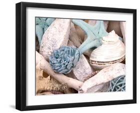 Bundle of Shells II-Susan Bryant-Framed Photographic Print