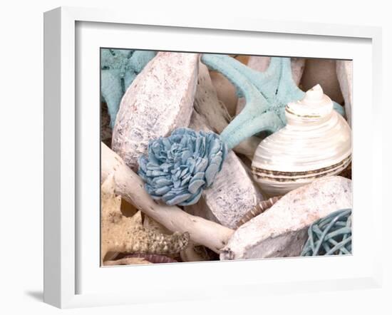 Bundle of Shells II-Susan Bryant-Framed Photographic Print