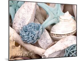 Bundle of Shells II-Susan Bryant-Mounted Photographic Print