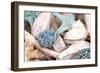 Bundle of Shells II-Susan Bryant-Framed Photographic Print