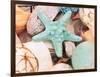 Bundle of Shells V-Susan Bryant-Framed Premium Giclee Print