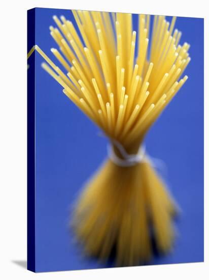 Bundle of Spaghetti-Marc O^ Finley-Stretched Canvas