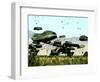 Bundles of Food and Water are Air Delivered to the Outlying Area of Port-Au-Prince, Haiti-null-Framed Photographic Print