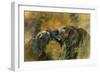 Bundu, 1998-Odile Kidd-Framed Giclee Print