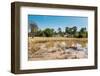 Bungalows in Angkor Complex, Siem Reap, Cambodia-David Ionut-Framed Photographic Print