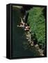 Bungee Jumping, Feather River, California, USA-null-Framed Stretched Canvas