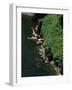 Bungee Jumping, Feather River, California, USA-null-Framed Photographic Print