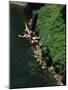 Bungee Jumping, Feather River, California, USA-null-Mounted Photographic Print
