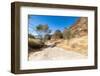 Bungle Bungle Ranges in the Purnululu National Park, Kimberley, Western Australia-Heather Rose-Framed Photographic Print