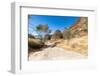 Bungle Bungle Ranges in the Purnululu National Park, Kimberley, Western Australia-Heather Rose-Framed Photographic Print