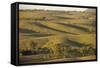 Bunkers Ranges, Seen from Stokes Hill, Flinders Ranges National Park-Tony Waltham-Framed Stretched Canvas